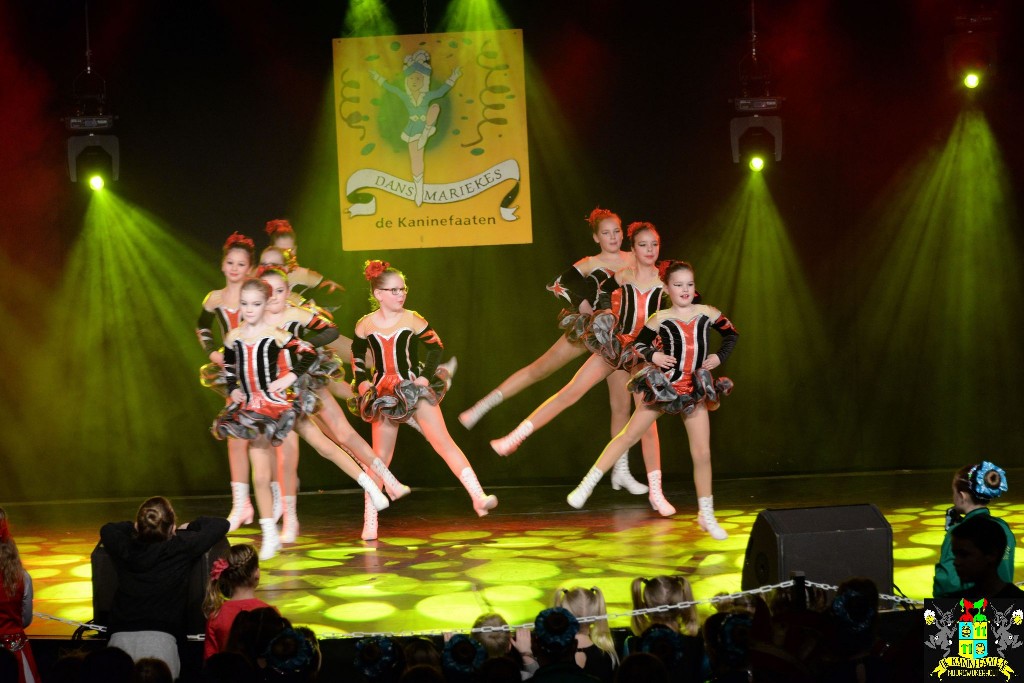 ../Images/Dansmariekefestival 2020 118.jpg